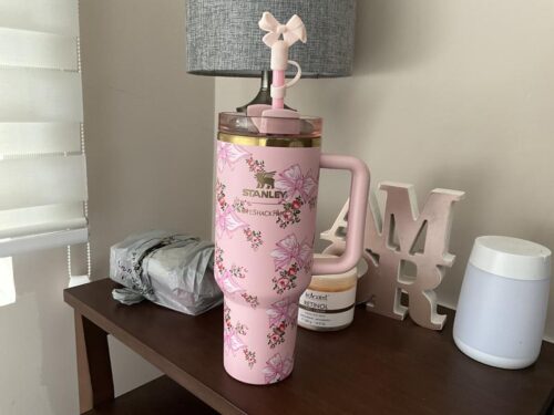 The Stanley X LoveShackFancy Holiday Quencher Rosa Beaux Pink photo review